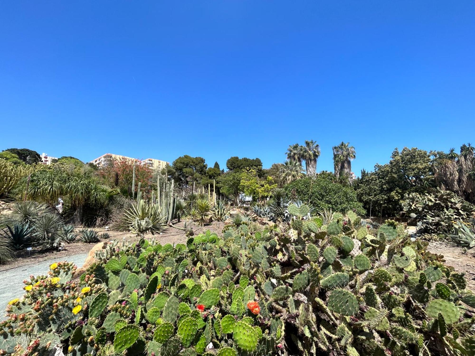 Acogedor Apartamento En Benalmadena Vistas Dış mekan fotoğraf